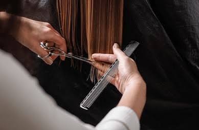 Modern Cut
